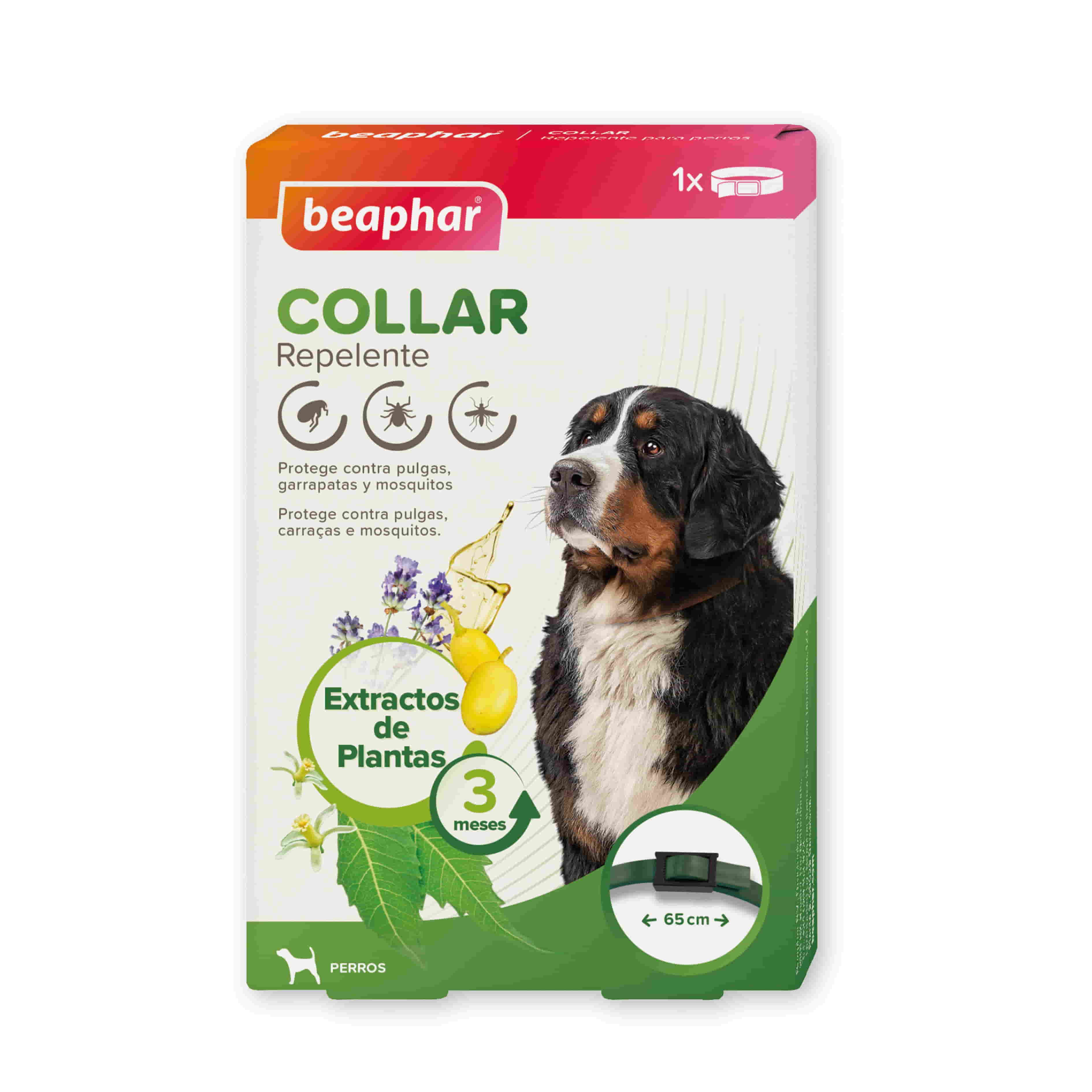 repelente-natural-mosquitos-pulgas-garrapatas-para-perros