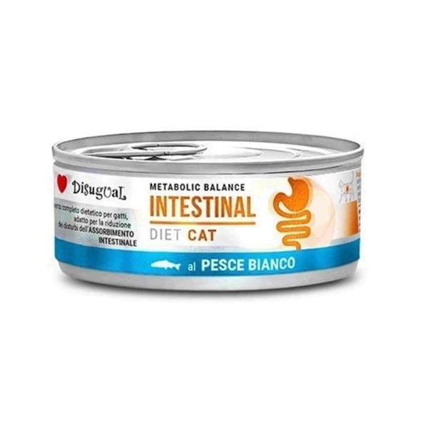 comida-humeda-para-gatos-con-problemas-intestinales-y-de-estomago